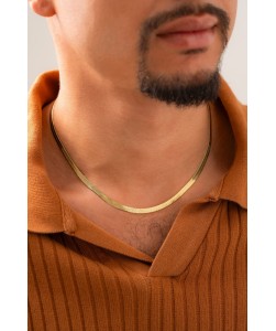 C Egyptian